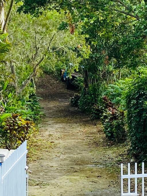 Villa Verde Luz: A Virgin Forest Yauco Exterior foto